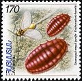 Вірменська поштова марка із зображенням Porphyrophora hamelii (2006)